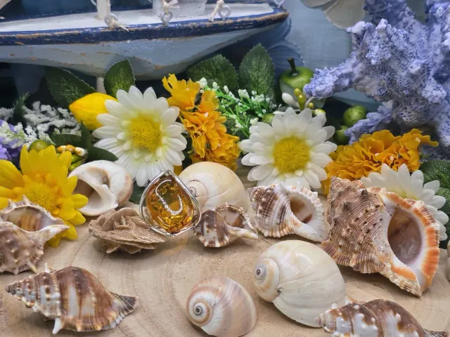 La Fenice Indaco Anello Ambra naturale argento regolabile