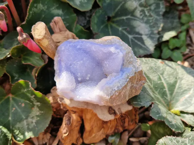 La Fenice Indaco Calcedonio grezzo pietra naturale equilibrio
