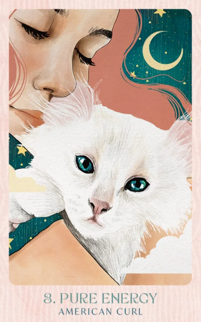 Lo Scarabeo Ask the Feline Sages oracolo 44 carte gatti