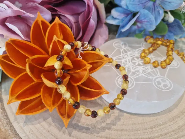 La Fenice Indaco Bracciale ambra naturale 6 mm multicolore