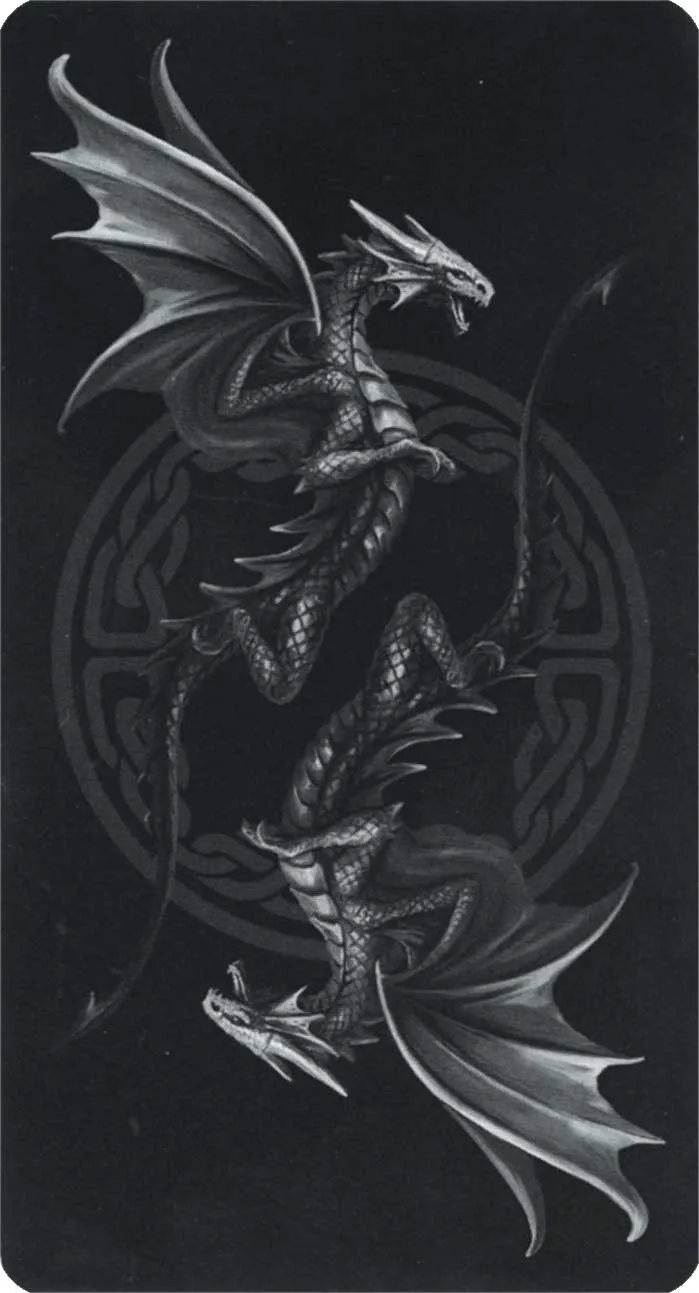 Lo Scarabeo Dragon Tarot Anne Stokes tarocchi 78 carte draghi