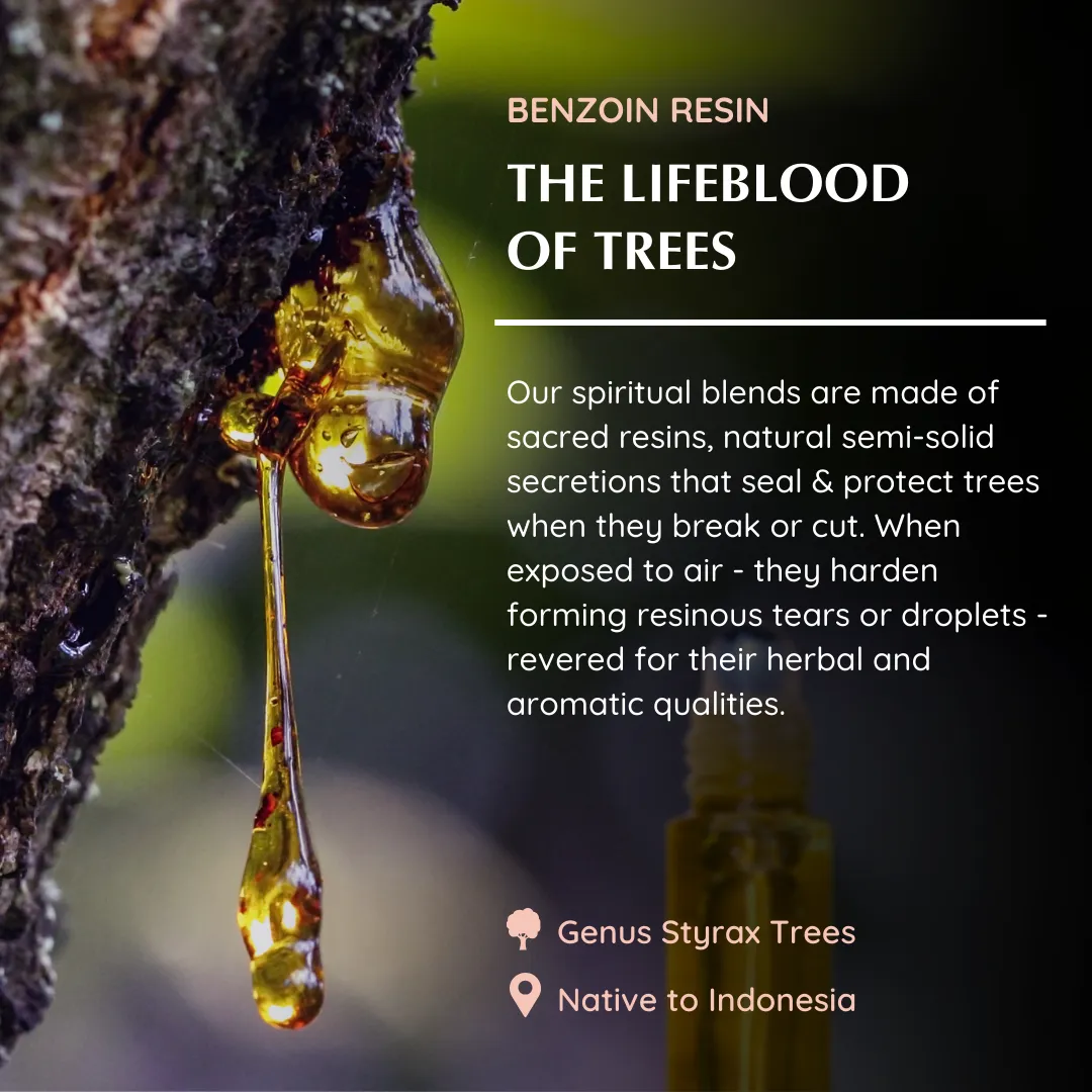 Aromafume Benzoin Roll-on olio profumato al benzoino