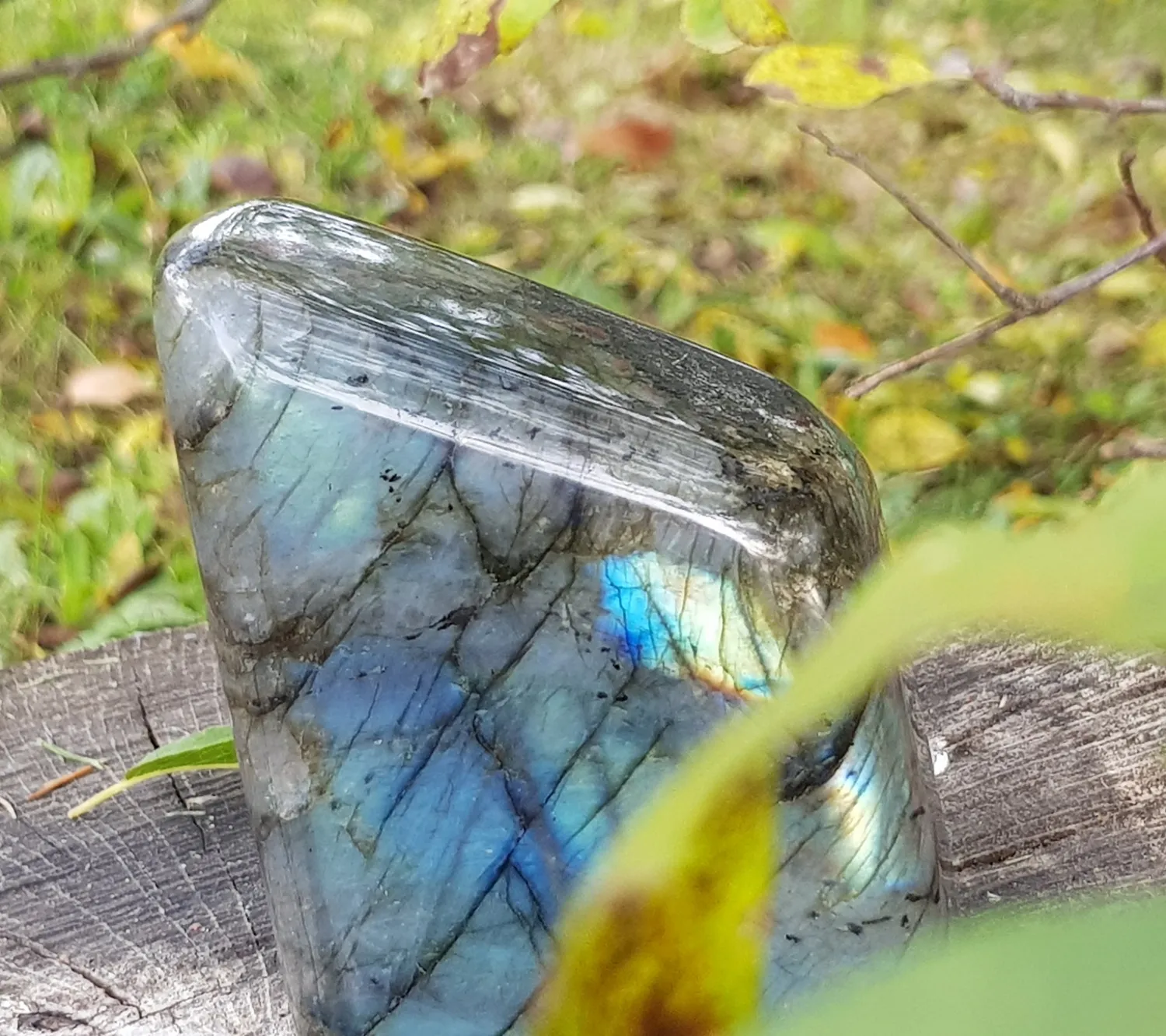 La Fenice Indaco Labradorite forma libera pietra naturale 14cm
