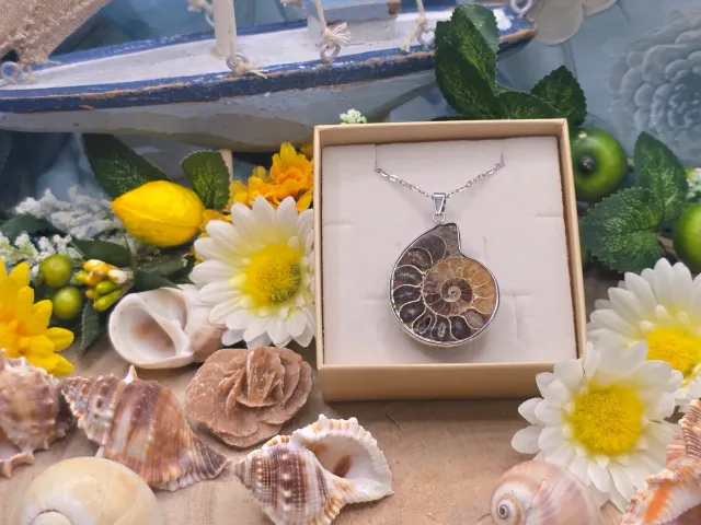 La Fenice Indaco Ciondolo Ammonite Naturale Acciaio