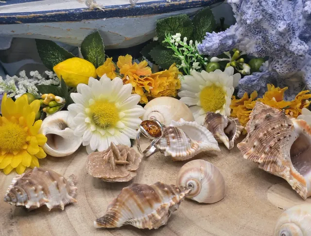 La Fenice Indaco Anello Ambra naturale e argento regolabile