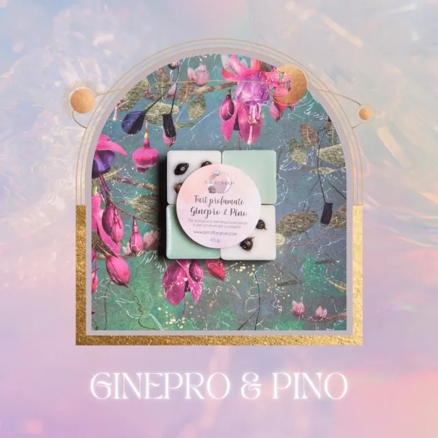 Astroflorarium Ginepro e Pino tart cera di soia 4 cialde resinose