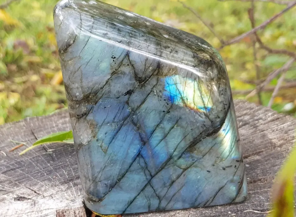 La Fenice Indaco Labradorite forma libera pietra naturale 14cm