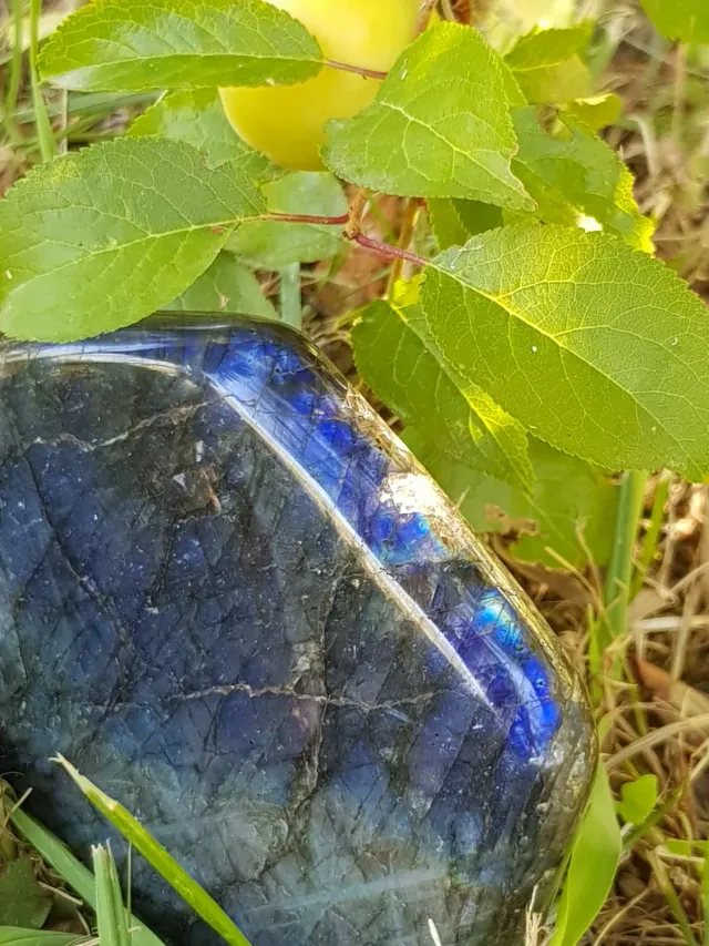 La Fenice Indaco Labradorite forma libera pietra 15x10x4 cm liscia