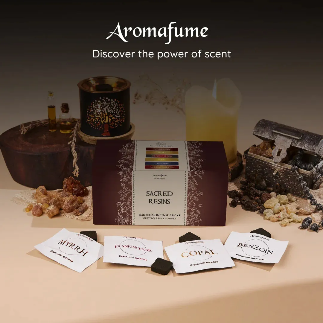 Aromafume Sacred Resin Incense Bricks & Rainbow Burner Set incenso 14 pezzi