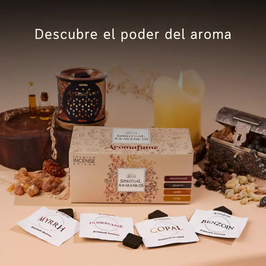 Aromafume Spiritual Awareness kit mattoncini profumati 12 pz con bruciatore