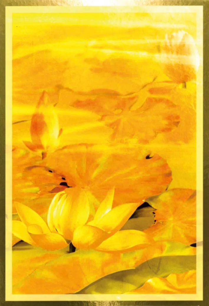 Lo Scarabeo Edizioni Wisdom of the Golden Path Oracle oracolo
